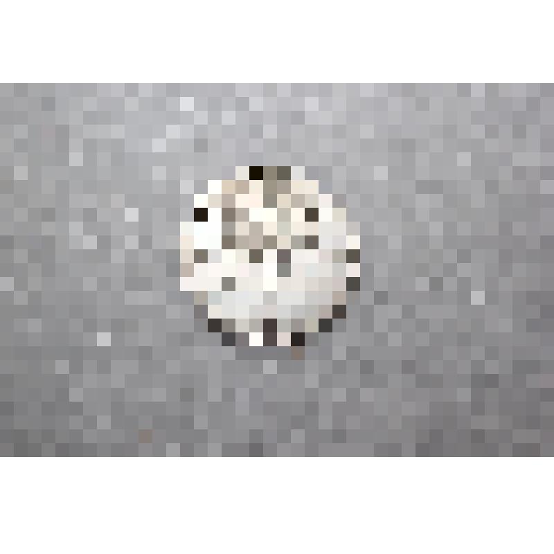 Монета 1 рубль