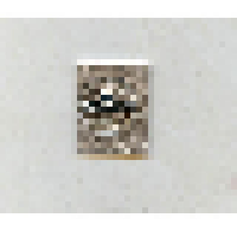 Значок. Профиль головы Ленина. Надпись "Ленин"