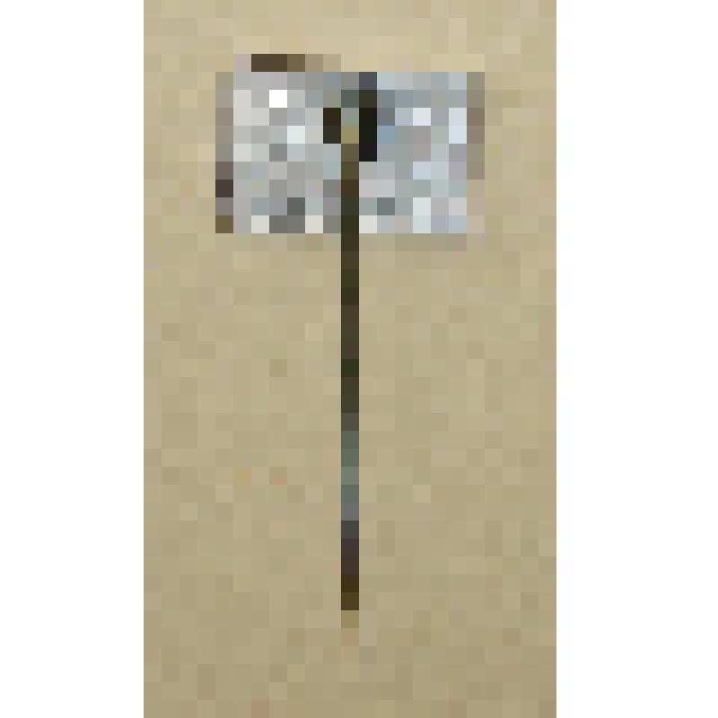 Значок "Ленинград"