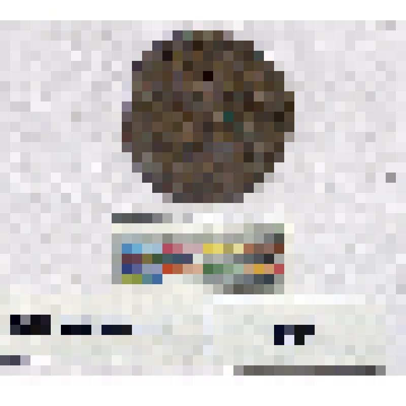 Монета. Швеция. Кристина (1632-1654). 1/4 эре. 1642 г