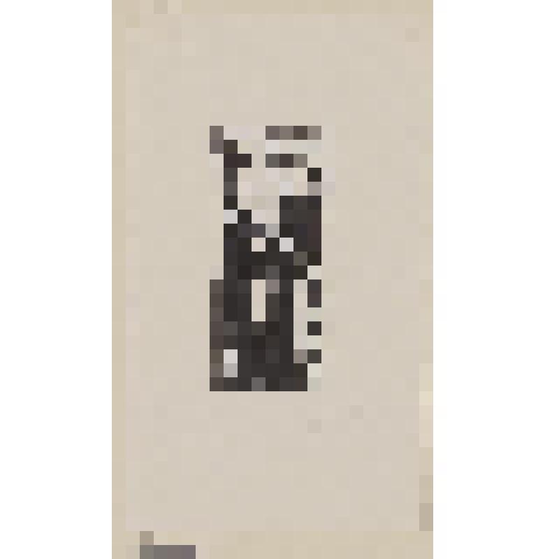 Книжный знак Б. и Н. Полоусовых. Экслибрис