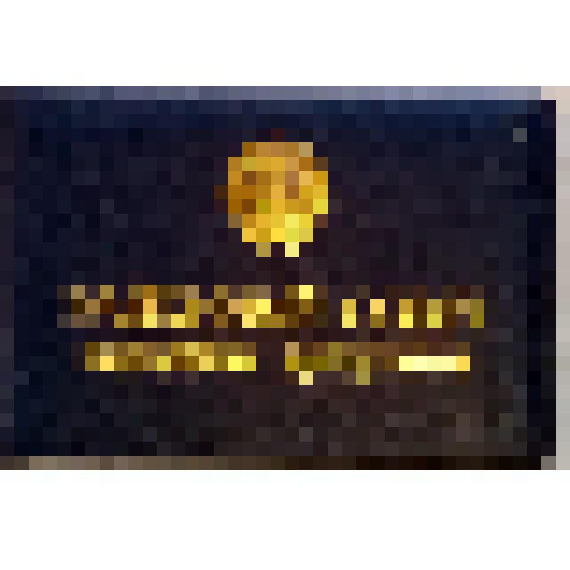 Удостоверение депутатское Соколова В.А