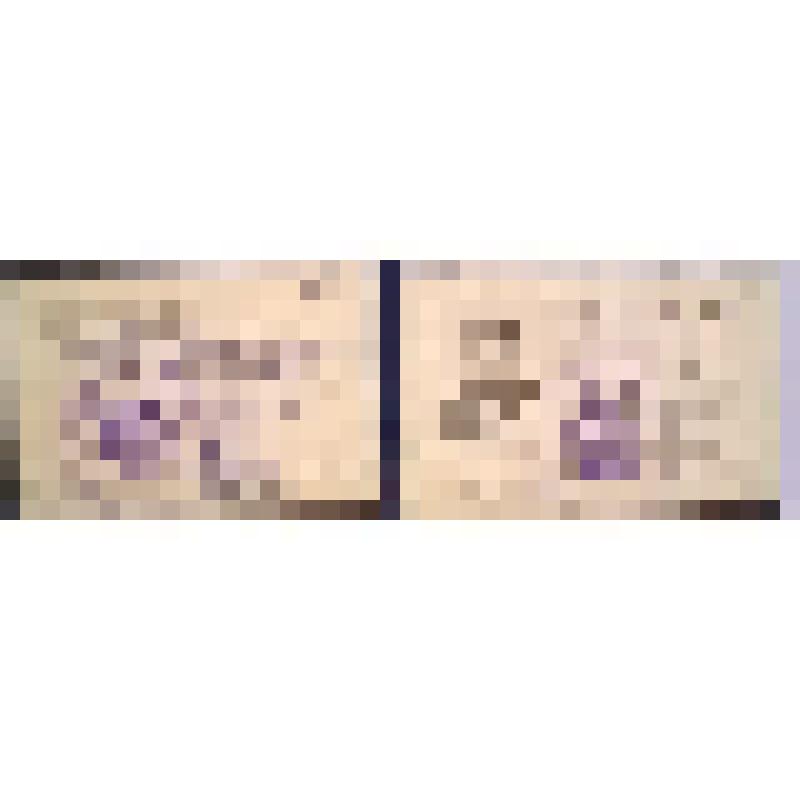 Удостоверение депутатское Соколова В.А