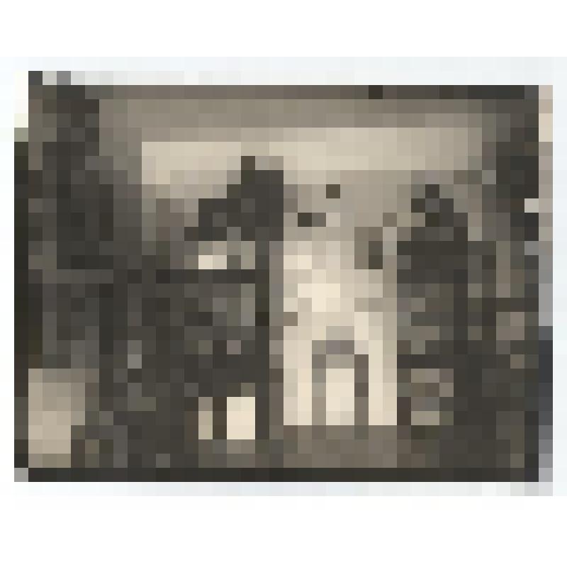 Ф/чб. Экспозиция Центрального музея АССР НП: отдел природы (витрины с чучелами птиц и животных, снопы растений, в центре: витрина с крупными яйцами птицы). Энгельс. 1941