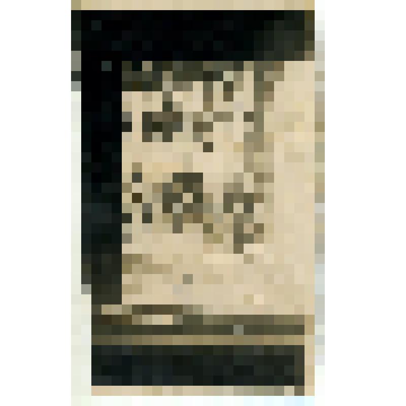 Фотокопия.  Ивенин Василий Иванович (в центре) с однополчанами