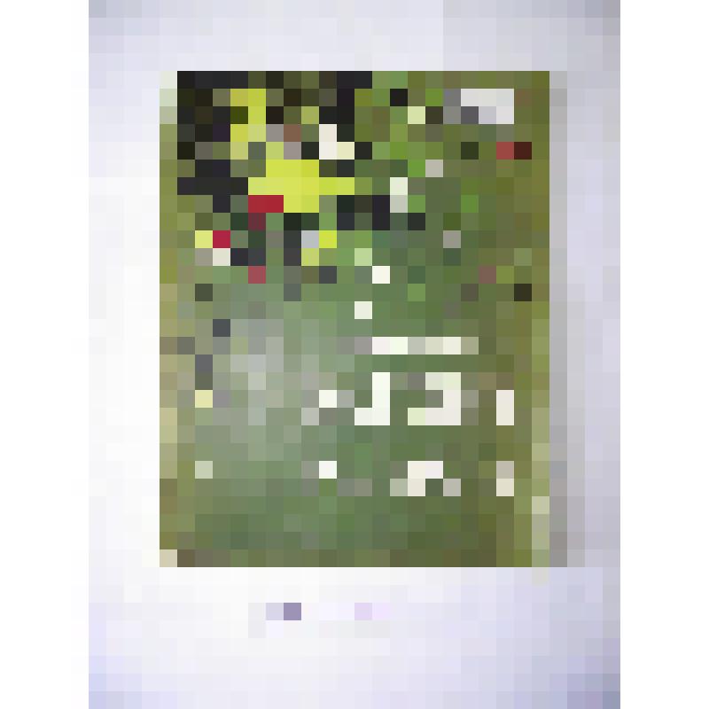 Грекова Т. Т. Волшебный ключ: Повесть.  - Ростов-н/Д.:Ростовское книжное издательство, 1959. - 61 с