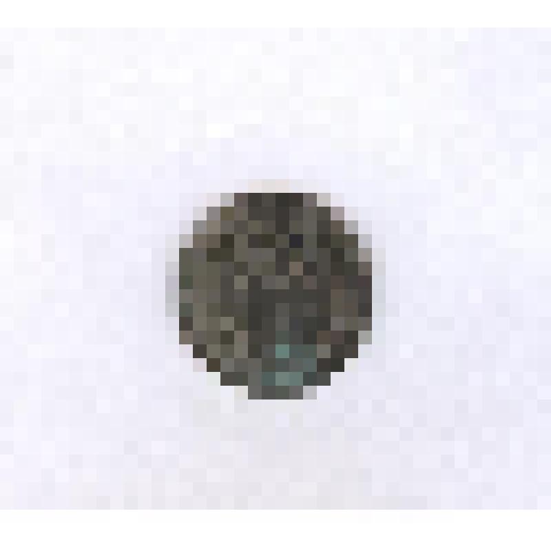 Монета России  10 копеек.  Николай II