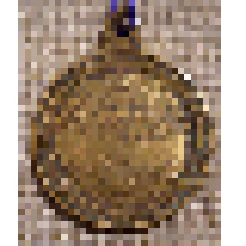 Медаль "Петр Великий и самодержавец Всероссийский"