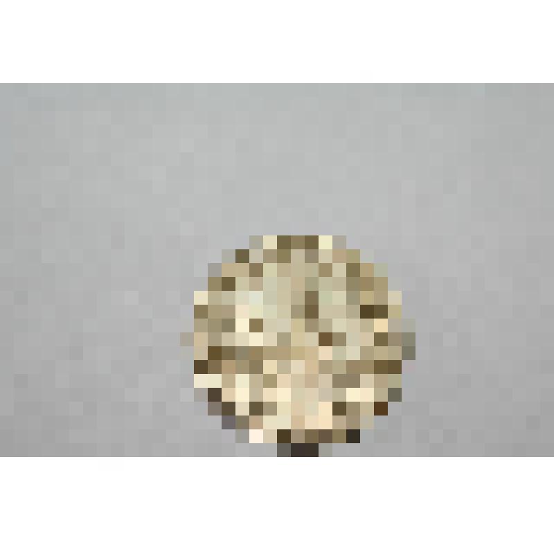 Монета. 10 копеек