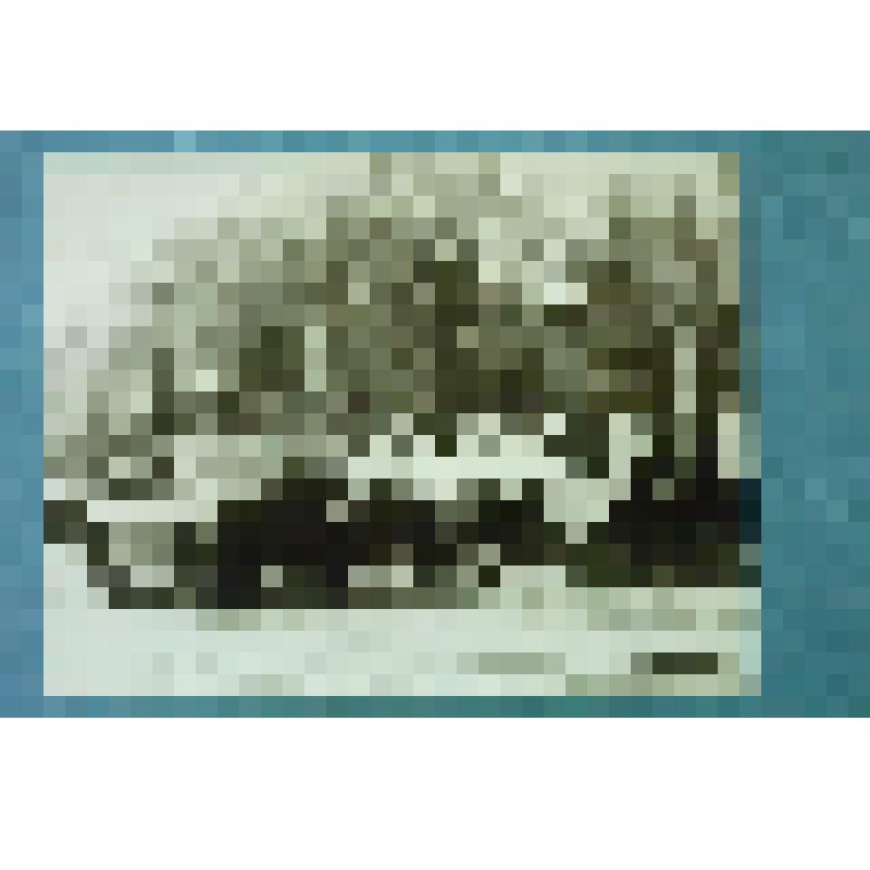 Фотография групповая