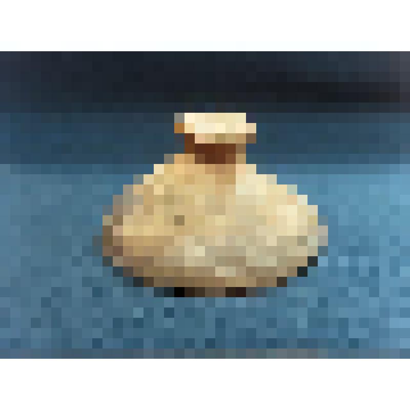 Крышка сосуда