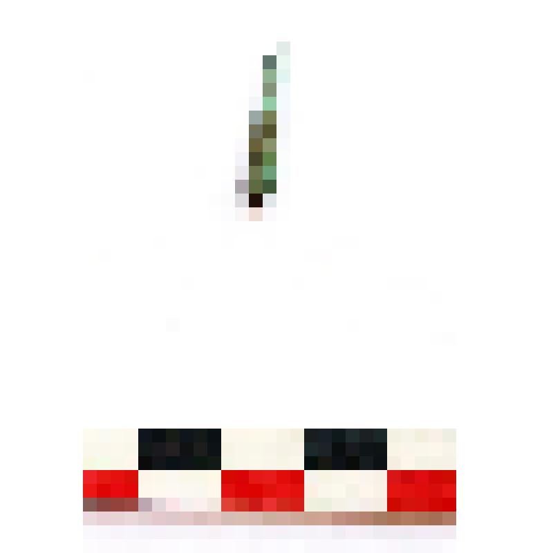 Фрагмент шила