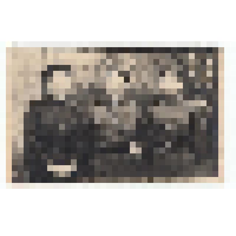 Ф/чб. Работники 687-й военно-почтовой станции 148-й стрелковой дивизии: Матвеева-Епанечкина Екатерина Иввановна, нач-к 687-й ВПС Спихин Петр Павлович, оператор Глубокова Анна Ефимовна. 1945