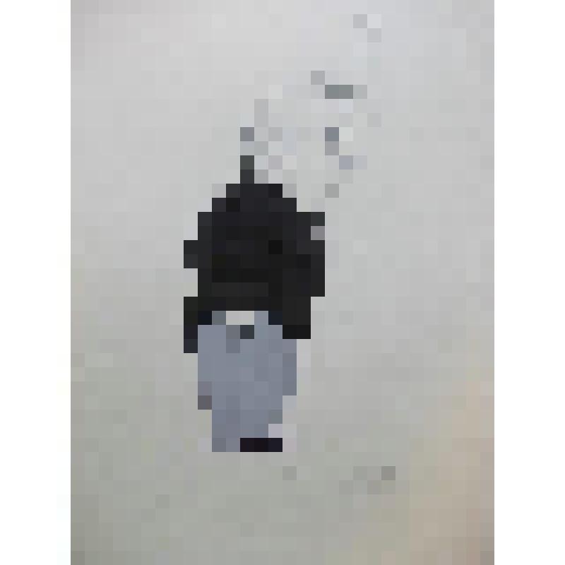 Зарисовка. Шарж. Ю.К.Олеша