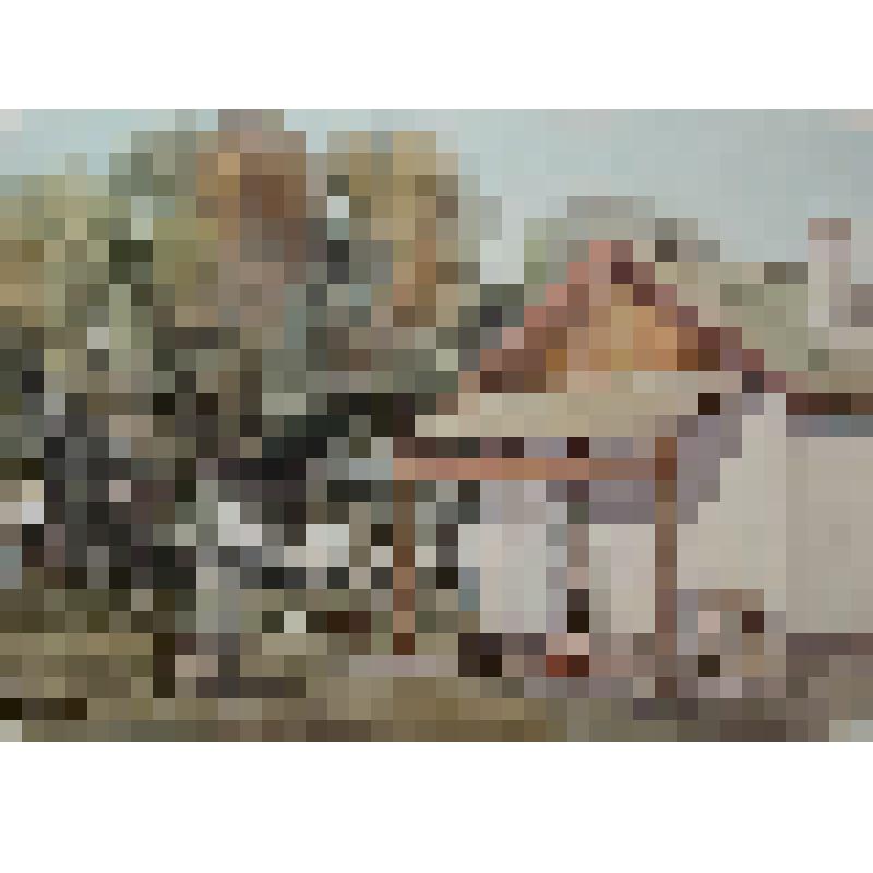 Рисунок. Станция Мирзачуль (Голодная степь)