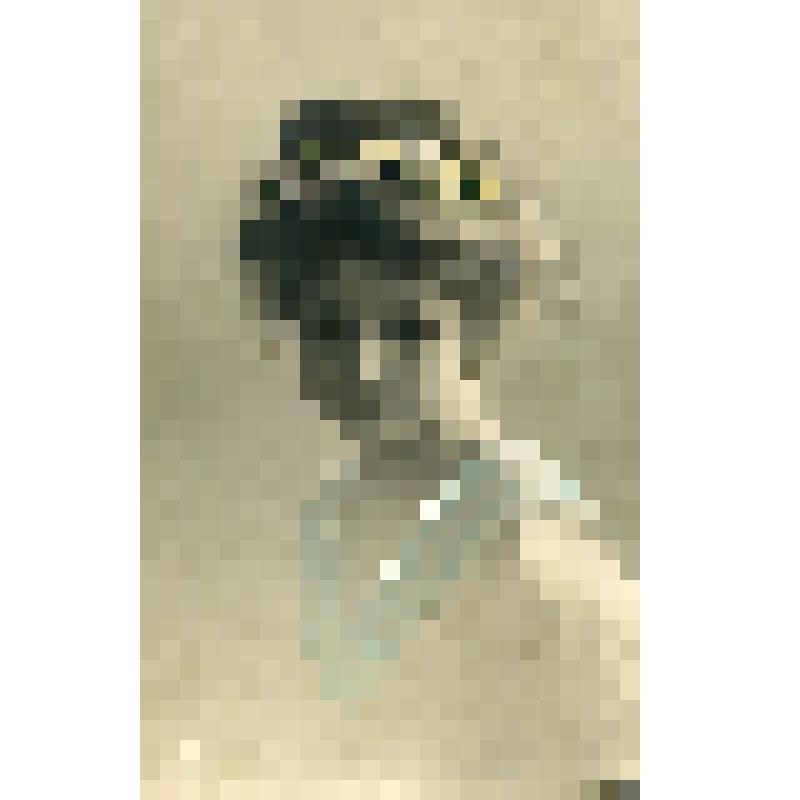 Фото Открытка. Портрет девочки с высокой причёской с венком из белых роз