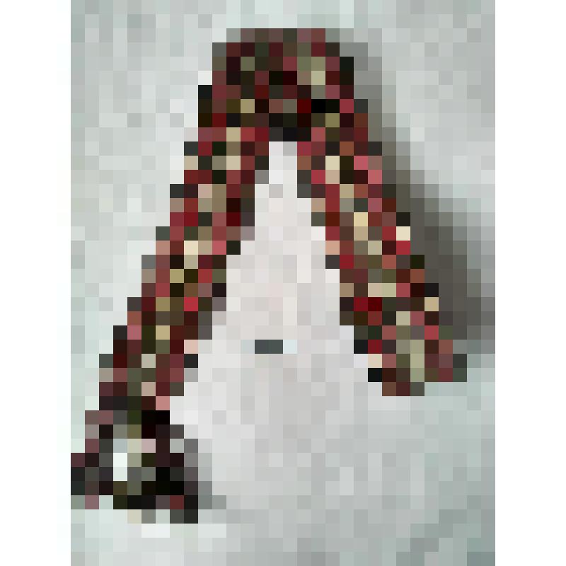 Пояс домотканый