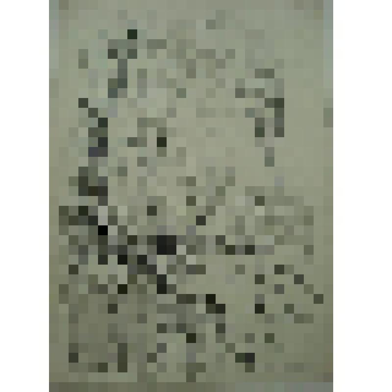 Еврейское кладбище в Праге. Коллекция И.С. Зильберштейна, станковая графика