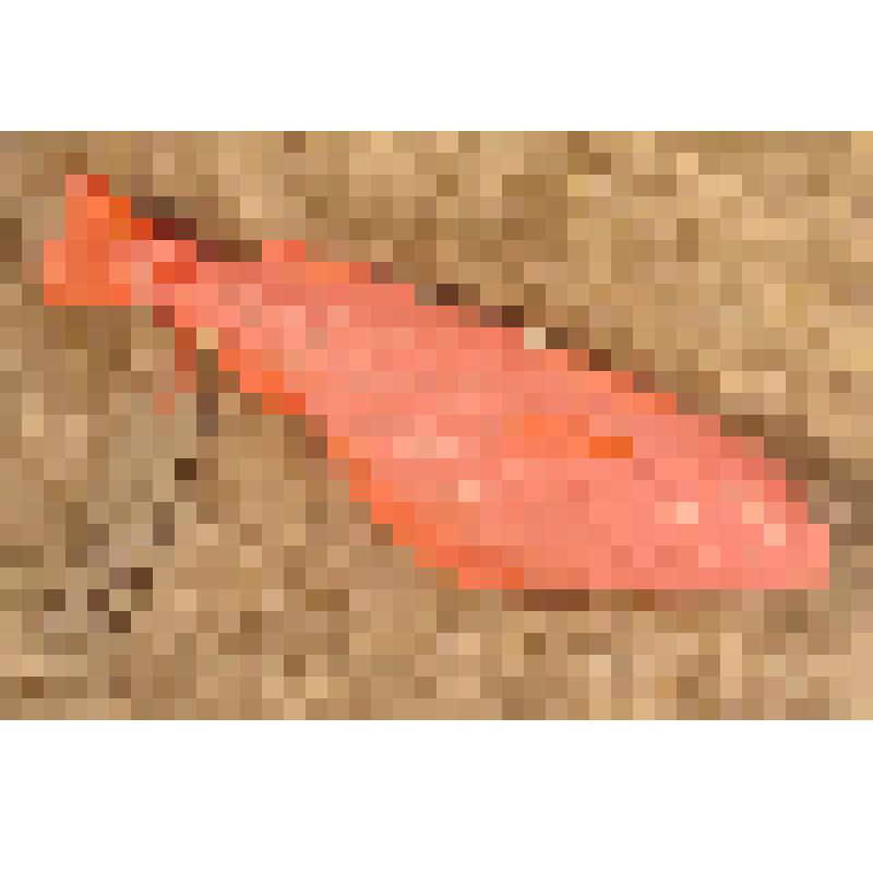 Игрушка детская «Рыбка»