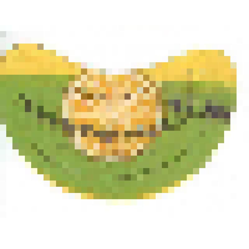 Кольеретка-этикетка горловая к напитку «Лимонад» производства объединения ресторанов Приволжской железной дороги, из коллекции кольереток – этикеток горловых к безалкогольным напиткам