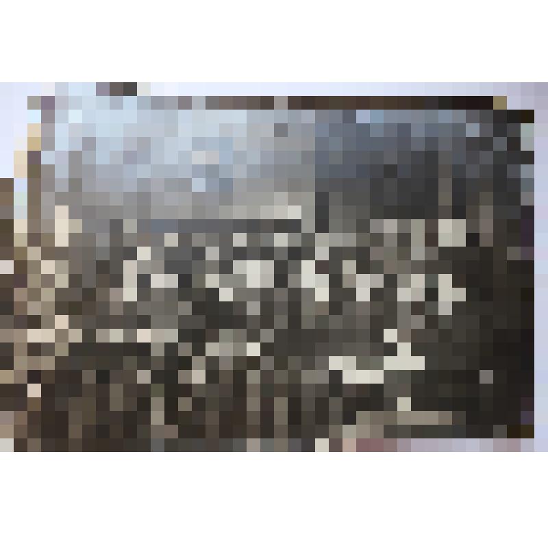 Фото черно-белое "Слушатели курсов повышения квалификации коммунальных работников"