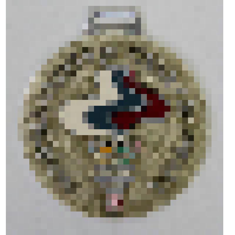 Медали памятные. Медаль "Международная детская сибириада. Абакан 95"