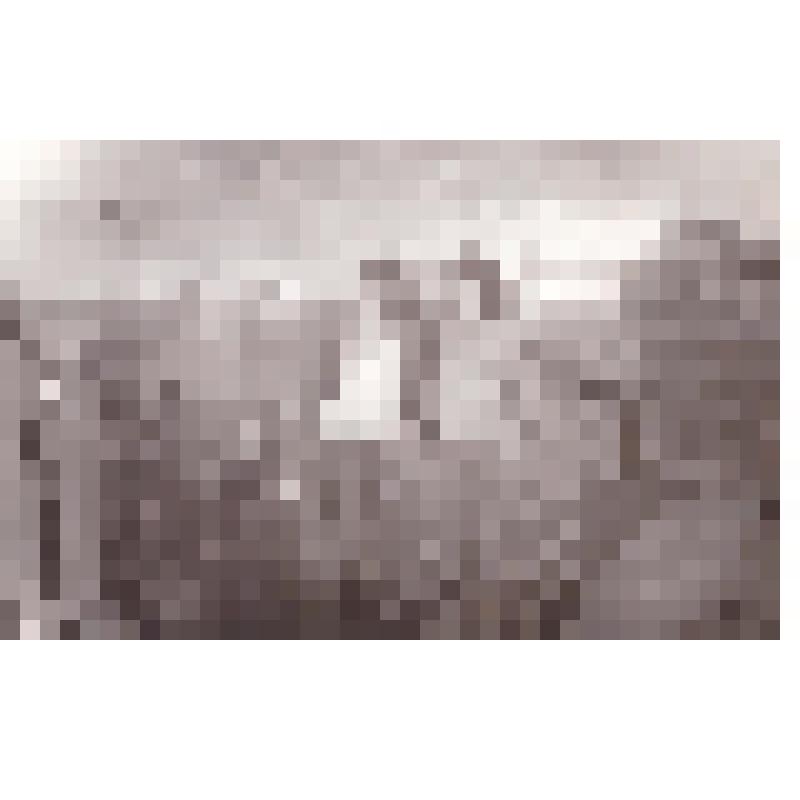 Фото групповое. На фото виды д. Большое Мукачево. Жители деревни 