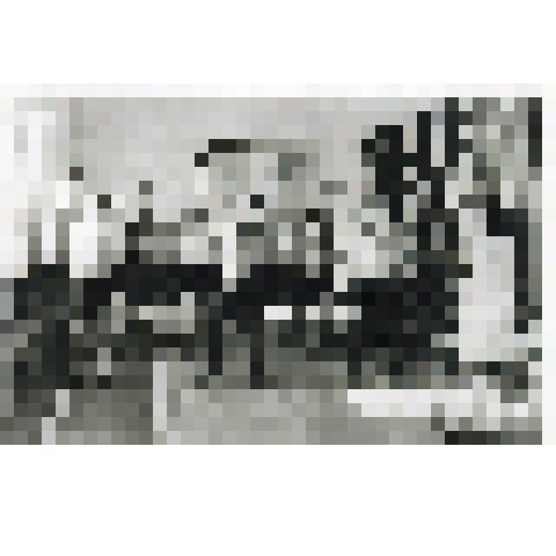 Фотокопия черно-белая групповая. Занятия в кабинете лечебной физкультуры санатория «Ливадия»