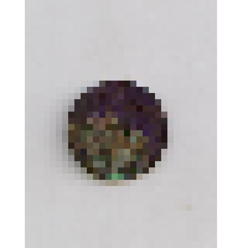 Медная монета царской России достоинством "2 копейки", 1910 года выпуска