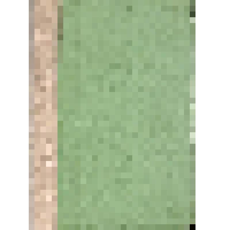 Брошюра. Спектакли, песни