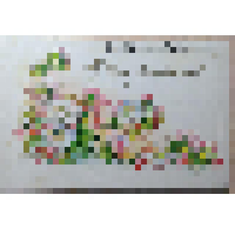 Открытка поздравительная М.Н.Ложкина