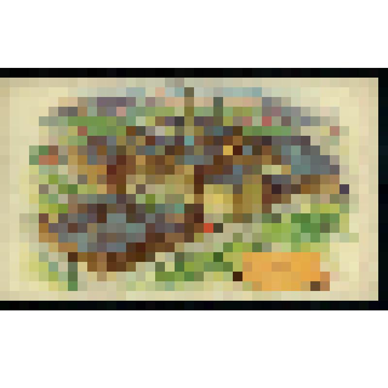 Aerial View of the Pabst Breweries // Milwaukee // Established 1844). (Вид с воздуха на пивоваренный завод, Милуоки (основан в 1844 г.))