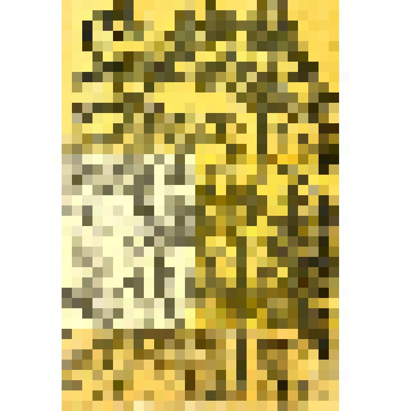 Графический рисунок карандашом "Деревья"