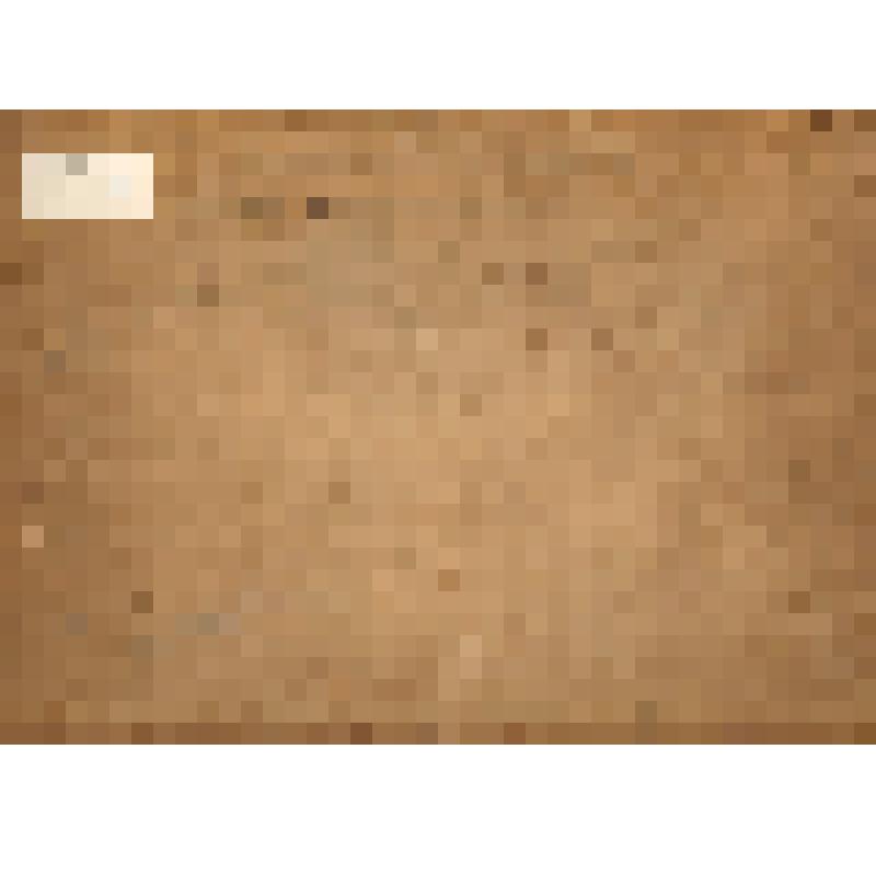 Фотопортрет групповой.
Управитель Воткинского завода В.А. Марсов с мастерами