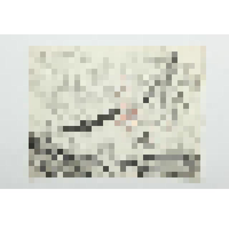 Без названия (Дорога в лесу. Рябинка). Графика