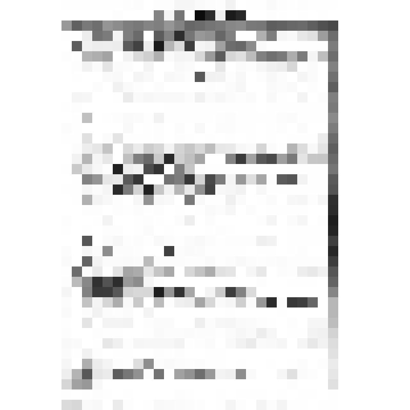 Документ. "Кандидат на пост мэра г. Шлиссельбурга Мезрин Алексей Владимирович"