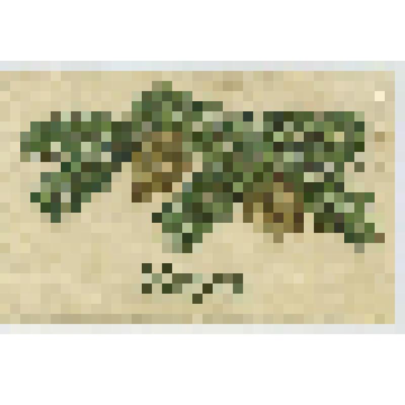 Открытка почтовая "С праздником Рождества Христова!"