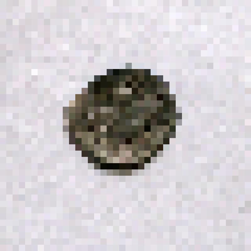 Монета. Копейка. Россия