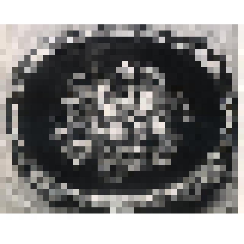 Фотография. Жостовский поднос  "Цветы и фрукты в корзине". Автор Леонтьев И.С. 1943 год