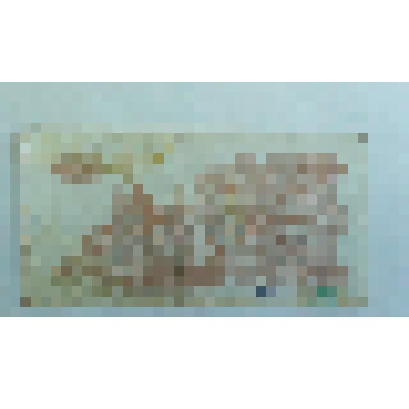 Денежный знак. Купон. 1 карбованец. 1991 г. Украина