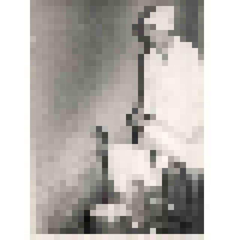 Яковенко Лидия Ивановна, доярка МТФ №4 на своем рабочем месте. Фотография