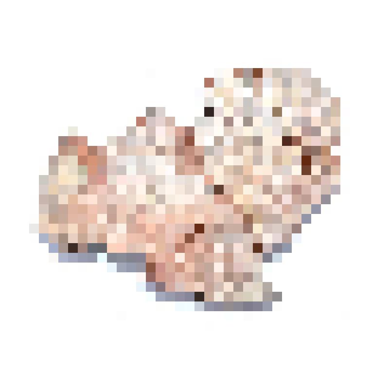 Сосуд (фрагмент)