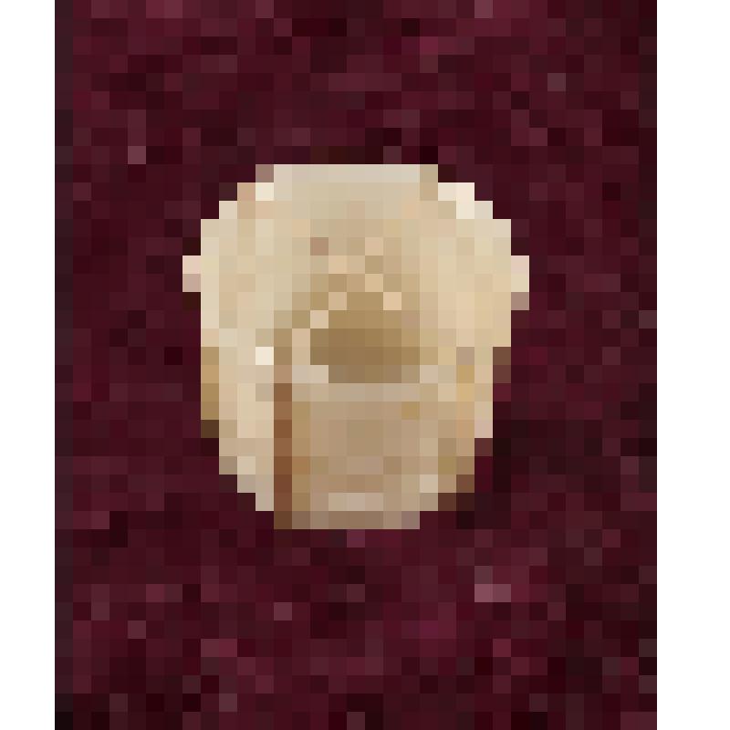 Коробка с костяными бирюльками: кадушка