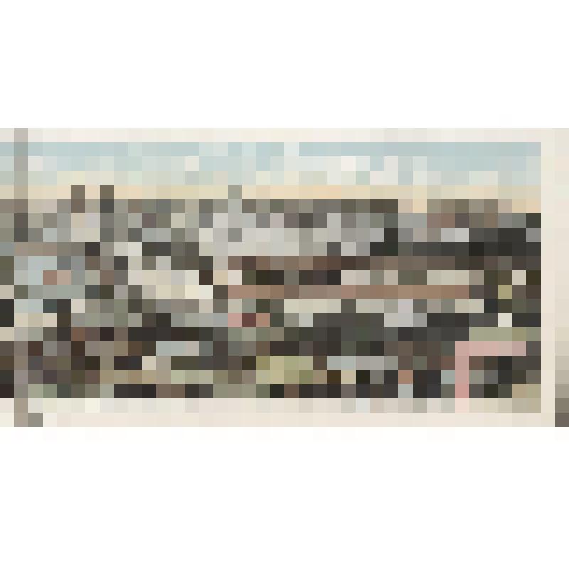 Общий вид на Москву. Фотография