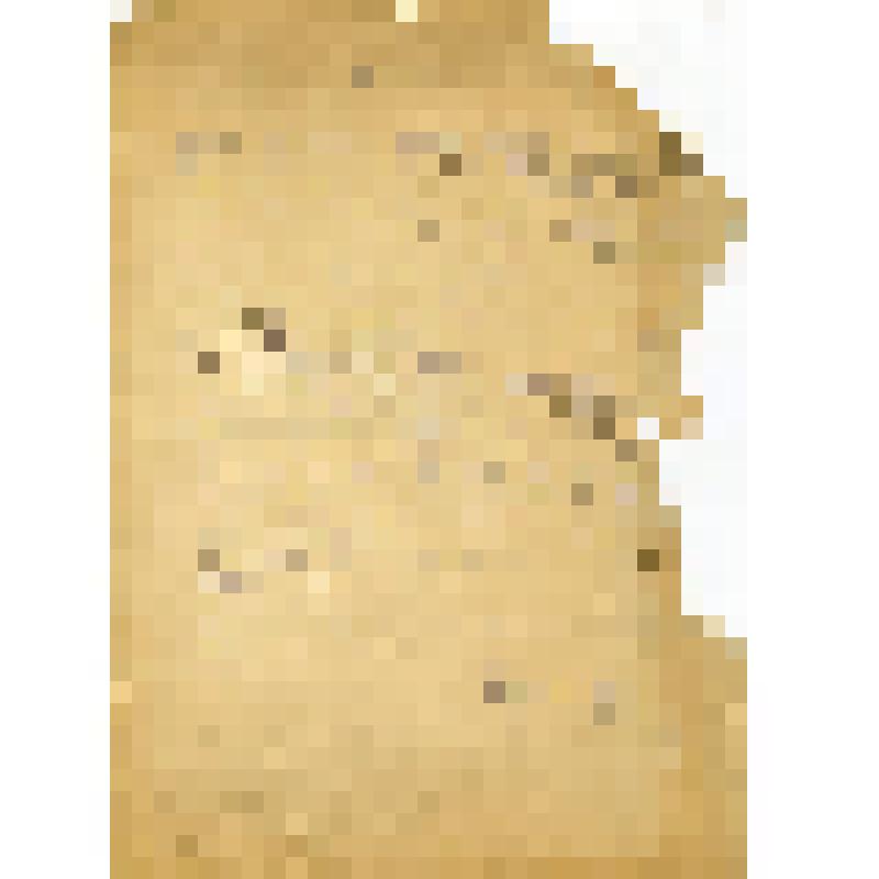 Письмо Н.А. Лебедеву о его книге по истории кино (книга готовится к переводу на венгерский язык)