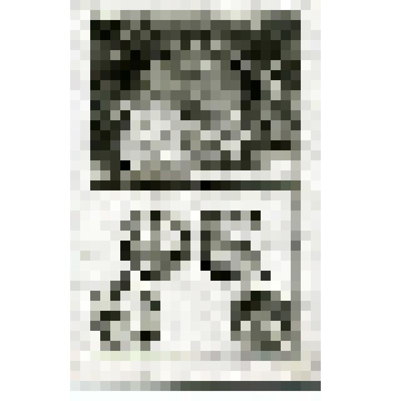 Офорт. Лист 176. Явление Ангела сотнику Корнелию. Павел и Варнава исцеляют хромого. Иудеи избивают Павла камнями. Исцеление служанки – прорицательницы. Арест Павла и Силы (Деян. 10, 14, 16). Л.19,3х12,1; и.17,3х10,3