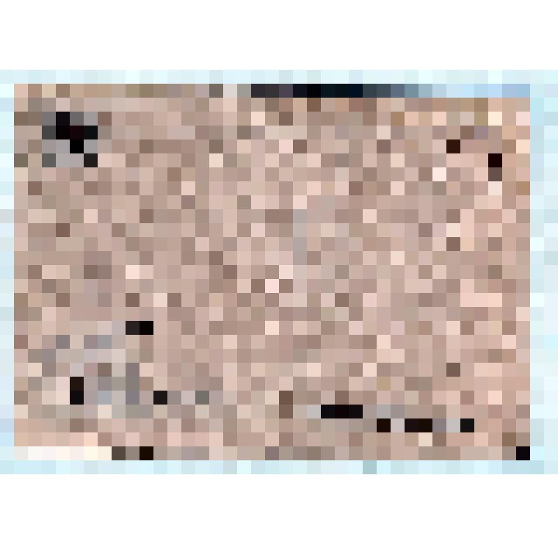 Открытка художественная. "Сельский крестный ход на Пасхе"