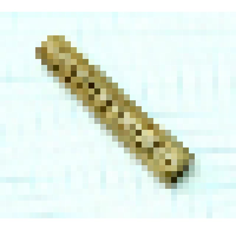 Игольник