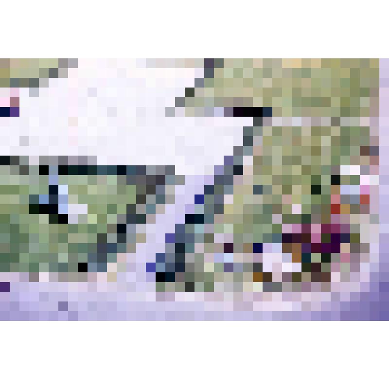 Диапозитив. (391)