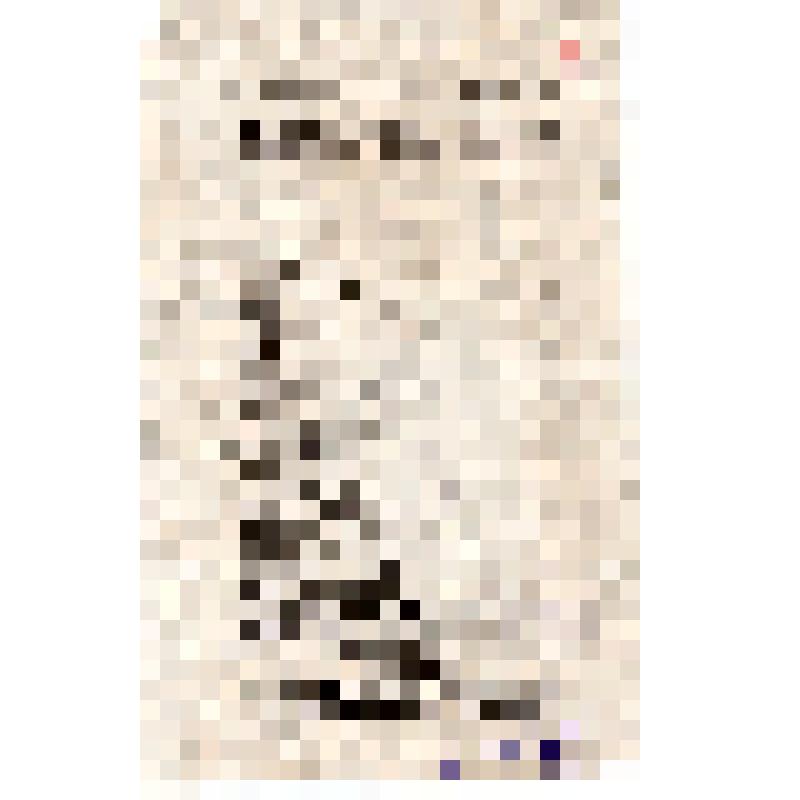 Красноармеец Д. Бойков. Письмо красноармейца к крестьянам